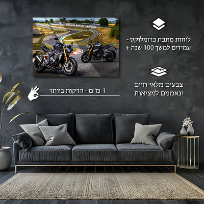 טריומף | יצירת אמנות של Speed ​​Triple 1200 RS